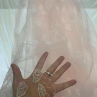 绣花欧根网纱布料 手工辅料儿童连衣裙立体活动花礼服装平面刺绣 2米价(绣花亮片绣)(37)