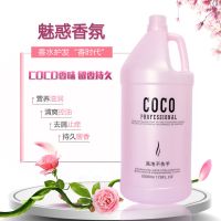 5000ML理发店洗发水持久留香宾馆洗浴发廊美发大瓶护发素沐浴露 5000ml护发素[送压嘴]