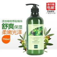 仙维娜洗护套装橄榄去屑柔顺焗油茶籽洗发露舒爽沐浴露丝滑营养护 350橄榄舒爽沐浴露
