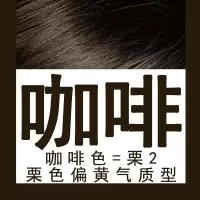 邦维丝染发梳黑色焗油自然染发一梳黑植物染发膏泡沫染发剂[10月7日发完] 咖啡色 一套 两配管+一染发梳