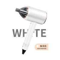 德国电吹风机家用理发店大小功率静音负离子护发吹风筒宿舍用学生 典雅白[800W+蓝光负离子]