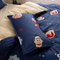 枕套单人一只一对装成人男女学生双人宿舍卡通儿童枕头罩皮小孩夏 [芝麻街] 30X50[儿童枕套一只]
