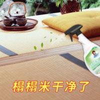 榻榻米垫子清洗剂免洗去油清理卧室地垫地毯免水洗清洁剂沙发神器 500mL