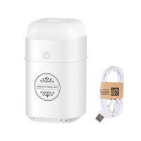 电热蚊香液无味婴儿孕妇可用电蚊香插电灭蚊驱蚊神器电蚊香器 白色[含1条数据线]不含电热蚊香液