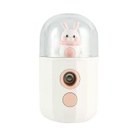 夏日补水仪纳米制冷喷雾仪脸部补水加湿喷器随身美容仪小型加湿器 白色兔子[送数据线]补水保湿