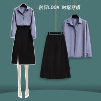 大码女装胖妹妹半身裙两件套女春装2021年新款穿搭显瘦衬衣套装 半身裙单件 M [建议100斤内]