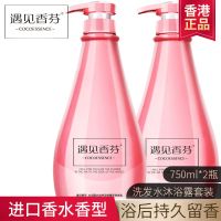 遇见香芬香水洗发水沐浴露套装750ml*2 沐浴露女留香香体留香持久 750ml*2 洗发水滋养双效C1+沐浴露