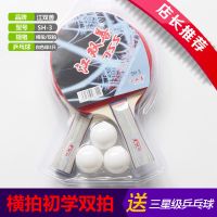 乒乓球拍2只装初学者学生成人训练比赛兵乓球拍双拍 直拍横拍 [SH-3双拍]白色球3只