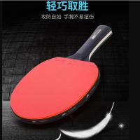 五星乒乓球拍专业比赛乒乓拍高弹性单拍训练乒乓板双反胶乒乓球拍 三星长柄1只3球