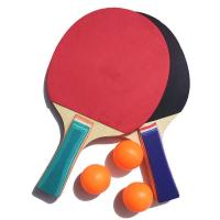 乒乓球拍成人中小学生儿童比赛训练初学者乒乓球拍横直双拍 普通 双拍(送3球)