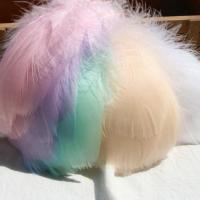 透明亚克力球空心塑料幼儿园学校新年圣诞创意装饰天花板吊顶挂件 马卡龙羽毛约100条