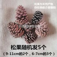 幼儿园教室走廊空中吊饰松果仿真枫叶创意挂饰diy手工麻绳材料 6-11cm大松果5个