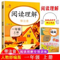 暑假阅读课外阅读专项训练小学1升2升3升4升5升6年级衔接暑假作业 阅读理解一年级上册
