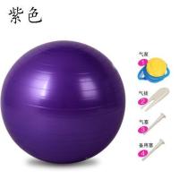 [瑜伽球 ]瑜伽球减肥健身球 加厚防爆 可承重500斤 紫色 55CM