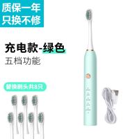 [厂家直销]电动牙刷充电式防水声波超美白自动牙刷成人儿童软毛 绿色 [电池版]2刷头+电池(单档)