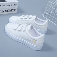 小雏菊小白鞋女鞋2021春秋新款学生鞋休闲百搭魔术贴板鞋子 小雏菊白色 66 66是鞋带5双请