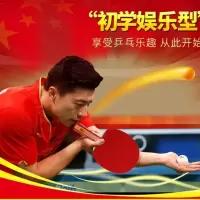 乒乓球拍成人学生套装比赛训练ysh02双面反胶横直拍