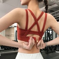 高强度运动内衣聚拢女防下垂防震瑜伽服女健身服美背文胸一体背心