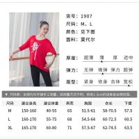 广场舞服舞字短袖宽松练功服莫代尔t恤 现代舞成人女形体舞蹈上衣