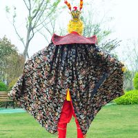 美猴王孙悟空演出服齐天大圣表演服西游记师徒四人演出服饰道具