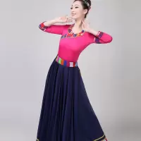 新款少数民族服装藏族舞蹈演出服中国风广场舞衣服民族风大摆舞裙