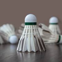 黄金系列羽毛球3/6/12只装室内室外娱乐训练用球稳定耐打