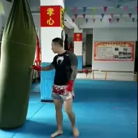 拳击沙袋散打吊式帆布家用空心成人儿童跆拳道不倒翁训练立式沙包