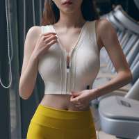 前拉链高强度防震聚拢运动内衣速干防下垂背心式跑步文胸