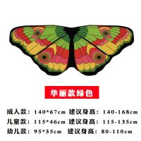 六一小女孩背蝴蝶翅膀儿童奇妙仙子演出服装花仙背饰表演道具春夏