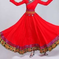 藏族舞蹈服装女广场舞大摆裙新款蒙古练习长裙民族演出服装女半身