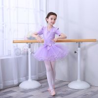 儿童芭蕾舞裙天鹅湖演出服女童夏季长短袖蓬蓬裙少儿中国舞练功服