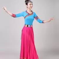 新款少数民族服装藏族舞蹈演出服中国风广场舞衣服民族风大摆舞裙
