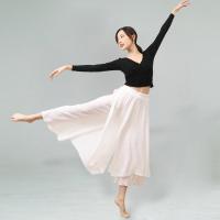 现代拉丁古典舞舞蹈服装练功服女成人基训上衣艺考形体服显瘦套装