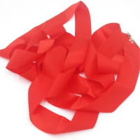 10条艺术体操彩带舞蹈演出道具跳舞丝带儿童玩具飘带体育用品表演