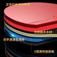 乒乓球拍三星五星初学者兵乓球直拍横拍儿童小学生级双拍