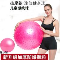 瑜伽球加厚防爆成人健身球儿童感统训练球按摩大龙球送打气筒