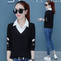 95棉薄款 /加绒款领刺绣卫衣女装长袖秋季上衣10天内发货