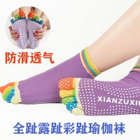 四季彩趾瑜伽袜子健身运动防滑防臭按摩五指袜吸汗全趾露趾袜