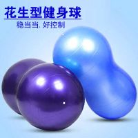 花生球瑜伽球加厚防爆球儿童感统康复训练球成人健身球孕妇助产球