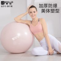 瑜伽球加厚防爆儿童健身球孕妇专用助产分娩瑜珈球