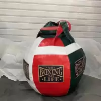 拳击沙袋阿瓦雷兹梅威瑟洛马琴科gggg散打吊式训练器材