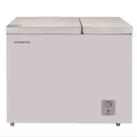 容声冷柜BCD-166MG/D