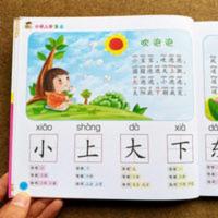 宝宝学前识字800个 幼儿园小学生读儿歌唐诗识字大王笔顺部首组词 识字800个