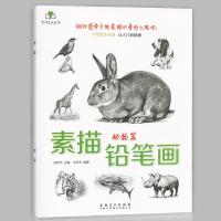 素描铅笔画动物手绘新生从入门到精通美术爱好者零基础技法书 铅笔画动物篇