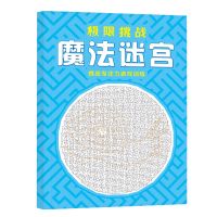 魔法迷宫线条专注力训练6岁上儿童小学多动症训练注意力益智玩具 训练眼力专注力[魔法迷宫]