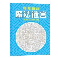 魔法线条大迷宫极限挑战专注力智力游戏宝宝连线涂色耐力训练玩具 专注力训练[魔法迷宫]