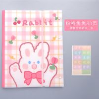 可爱试卷夹女学生文件夹试卷文档收纳册票据资料册卷子整理神器 粉格兔兔30页
