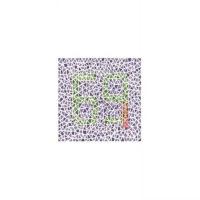 2021新版 色盲检查图 第6版第六版 驾驶证体检高考色觉色盲色弱测 图片色