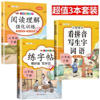 小学六年级上册下册语文生字同步练字帖部编人教版字帖正楷书法 六年级下册 看拼音写生字词语