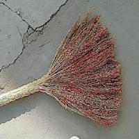 天然植物高粱苗扫帚条笤扫把,清洁好帮手,经济实惠 一把不去壳小款 购5把赠同规格1把